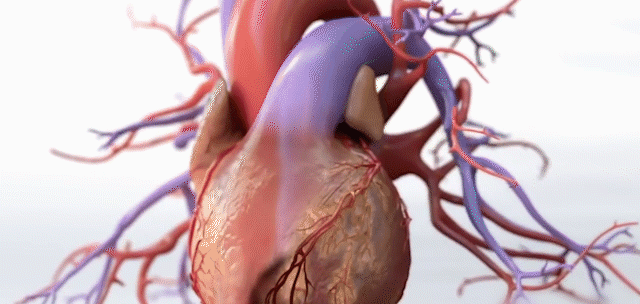 1689409783828450.gif a6b1721b10eb0724f10b28e168026174.gif