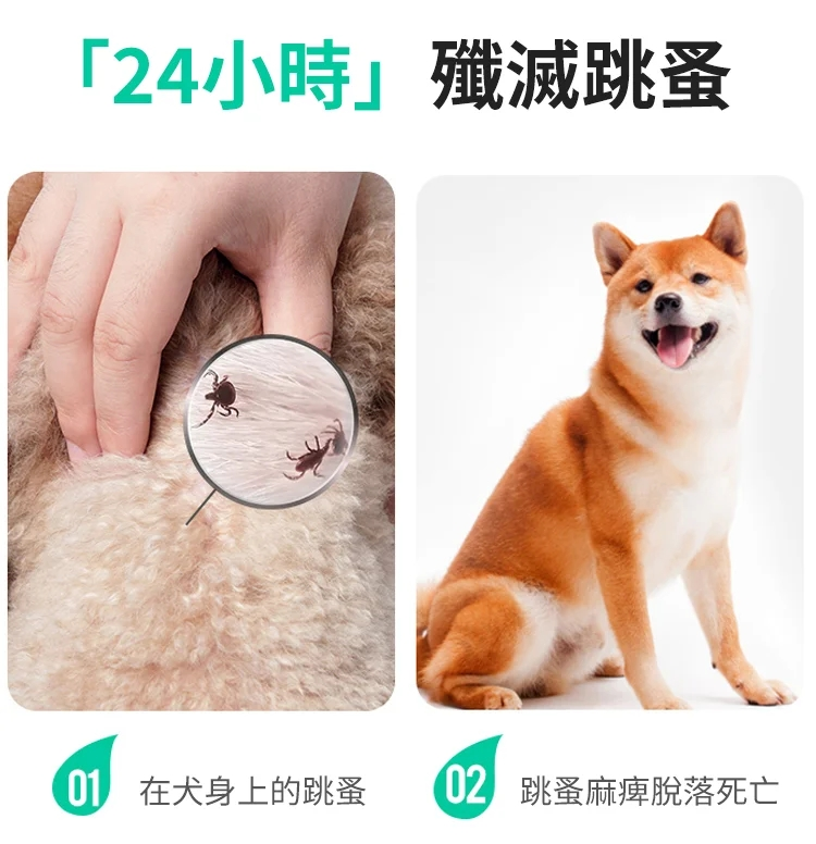 1690752471218912.png ccf01ee912051bd2bad5bbbd51efbf5.png