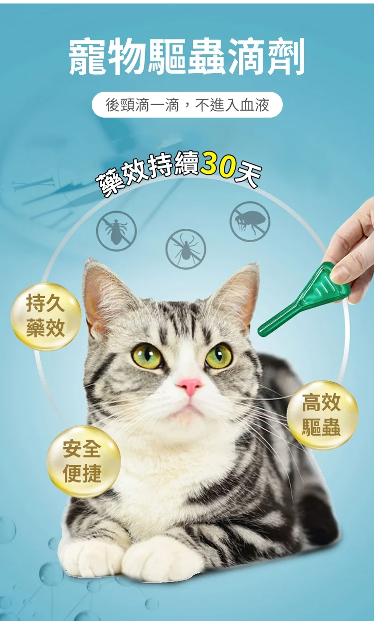 1690752478840982.png 158dd419fda618dd3bee564b6d7ff29.png