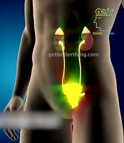 1698834218589551.gif 4.gif