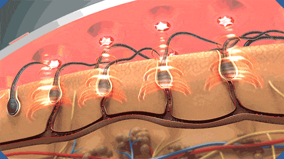 1699534026601100.jpg 8.jpg