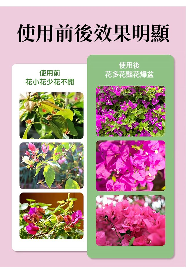 1703750323340806.png ee8443d37ac20f18b9b930bd5fe168e.png