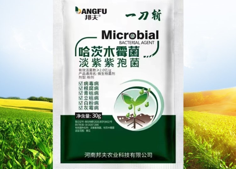 1704714900464672.jpg 4_20230925151655_453.jpg