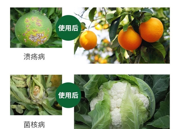 1704714949518136.jpg 12_20230925151704_994.jpg