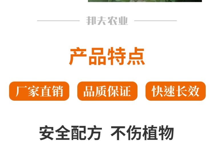 1704714967693929.jpg 13_20230925151705_955.jpg