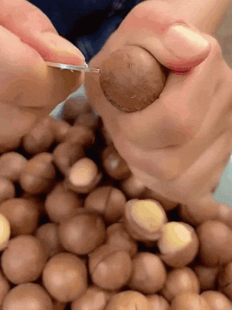 【千果之王】低溫烘焙帶殼夏威夷豆 火爆熱銷中！對抗大腦老化，預防心血管疾病 高血壓，控制血糖水平，現在下單享受在線支付立減活動！