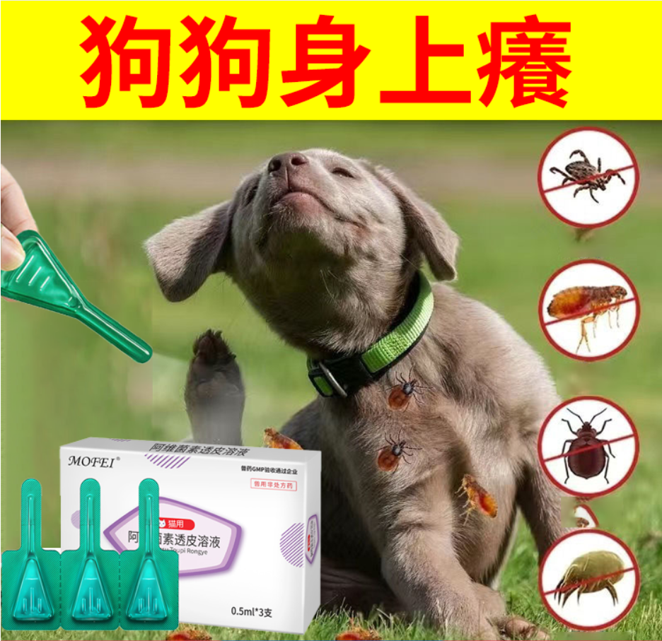 1715942403872876.png b8e26baf6742fe612774a842be7cec8.png