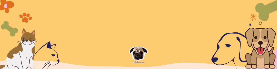 1716116543393811.gif 1.gif