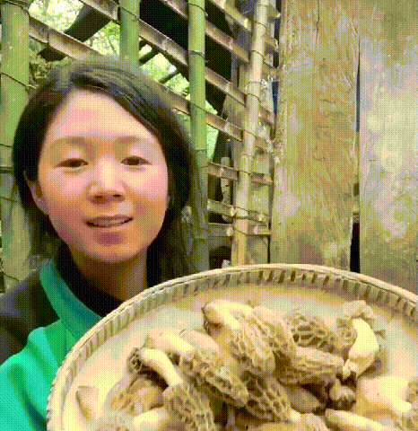 1727998143143840.gif e7845d4755a845248f805437a4b27069.gif